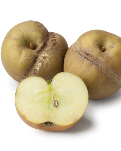 POMME PATTE DE LOUP BIO