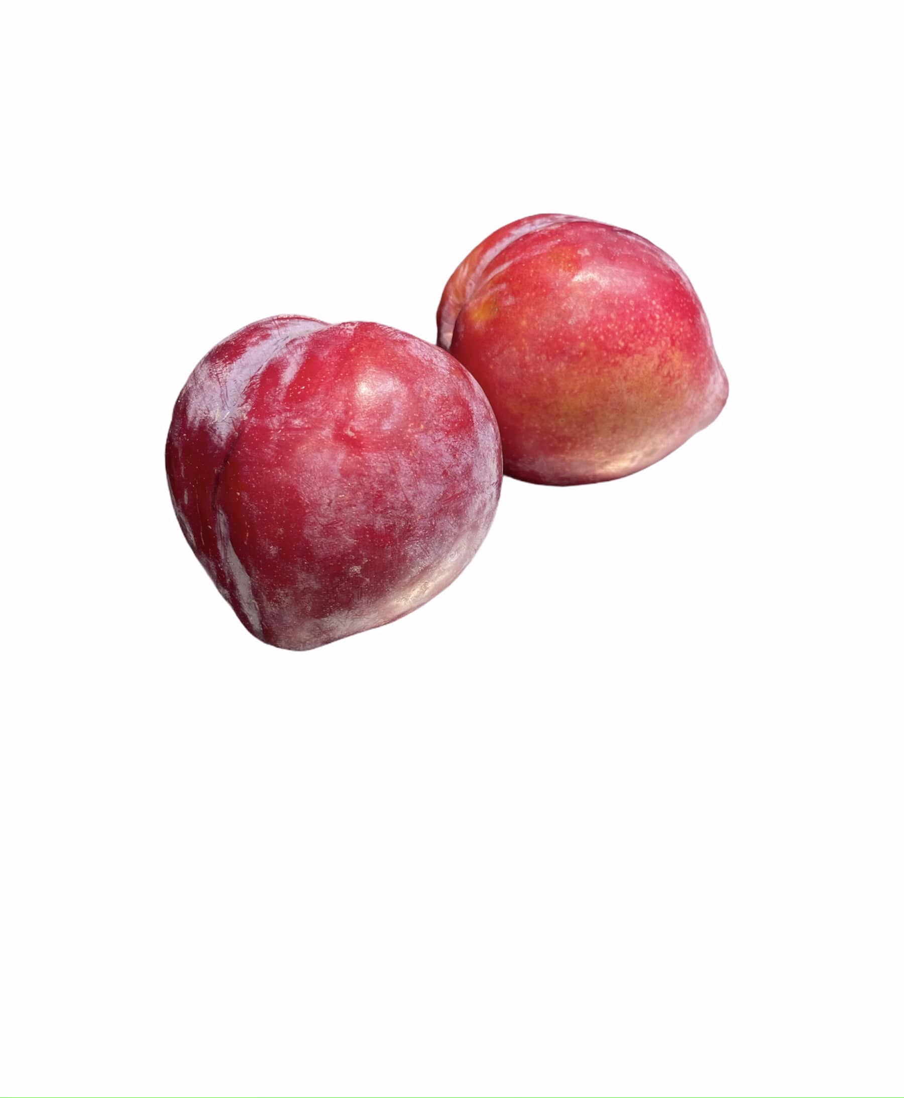 PRUNE ROUGE