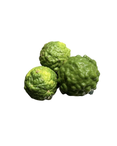 CONBAVA OU LIME KAFFIRE