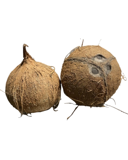 NOIX DE COCO