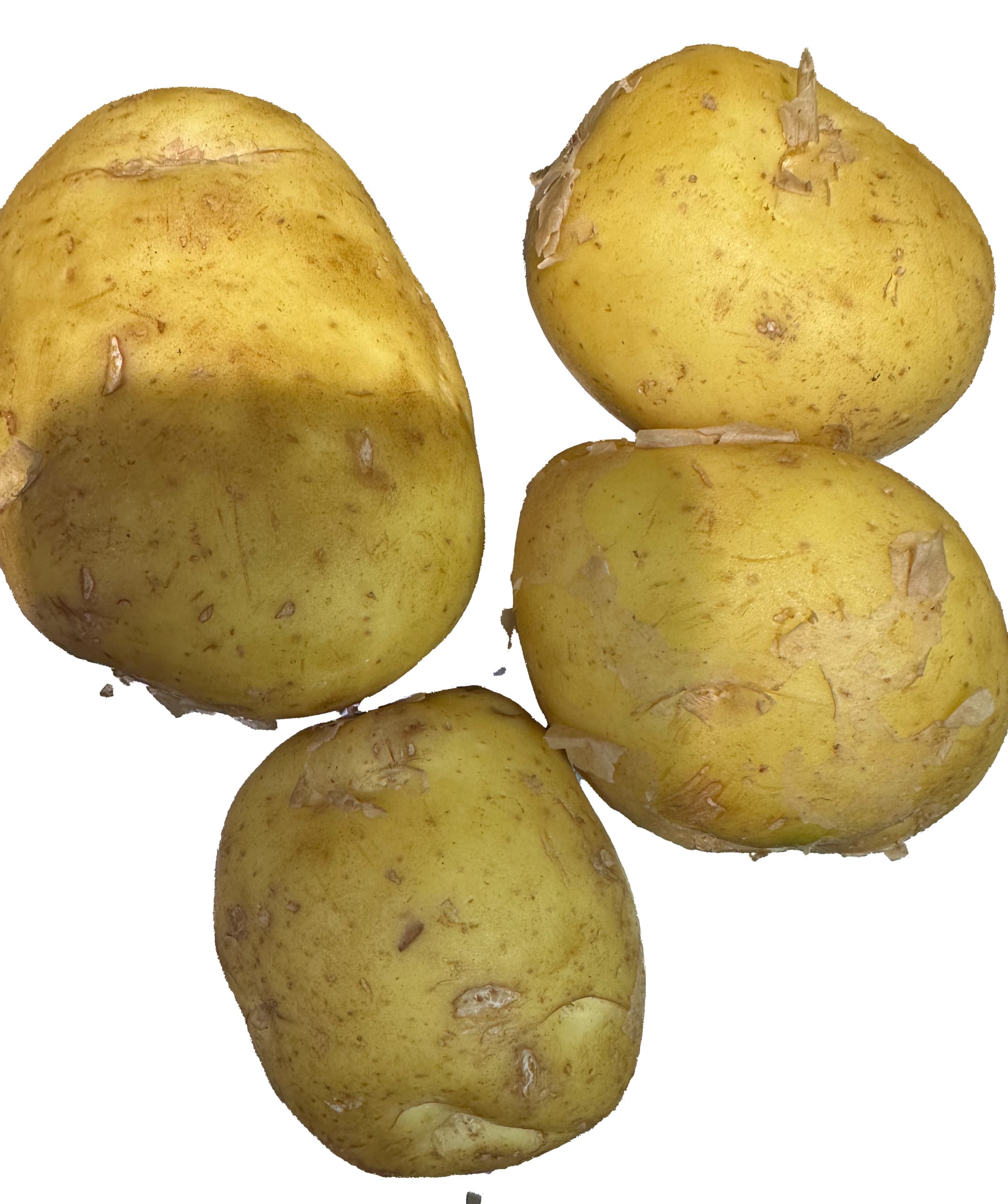 POMME DE TERRE BONNOTTE DE NOIRMOUTIER