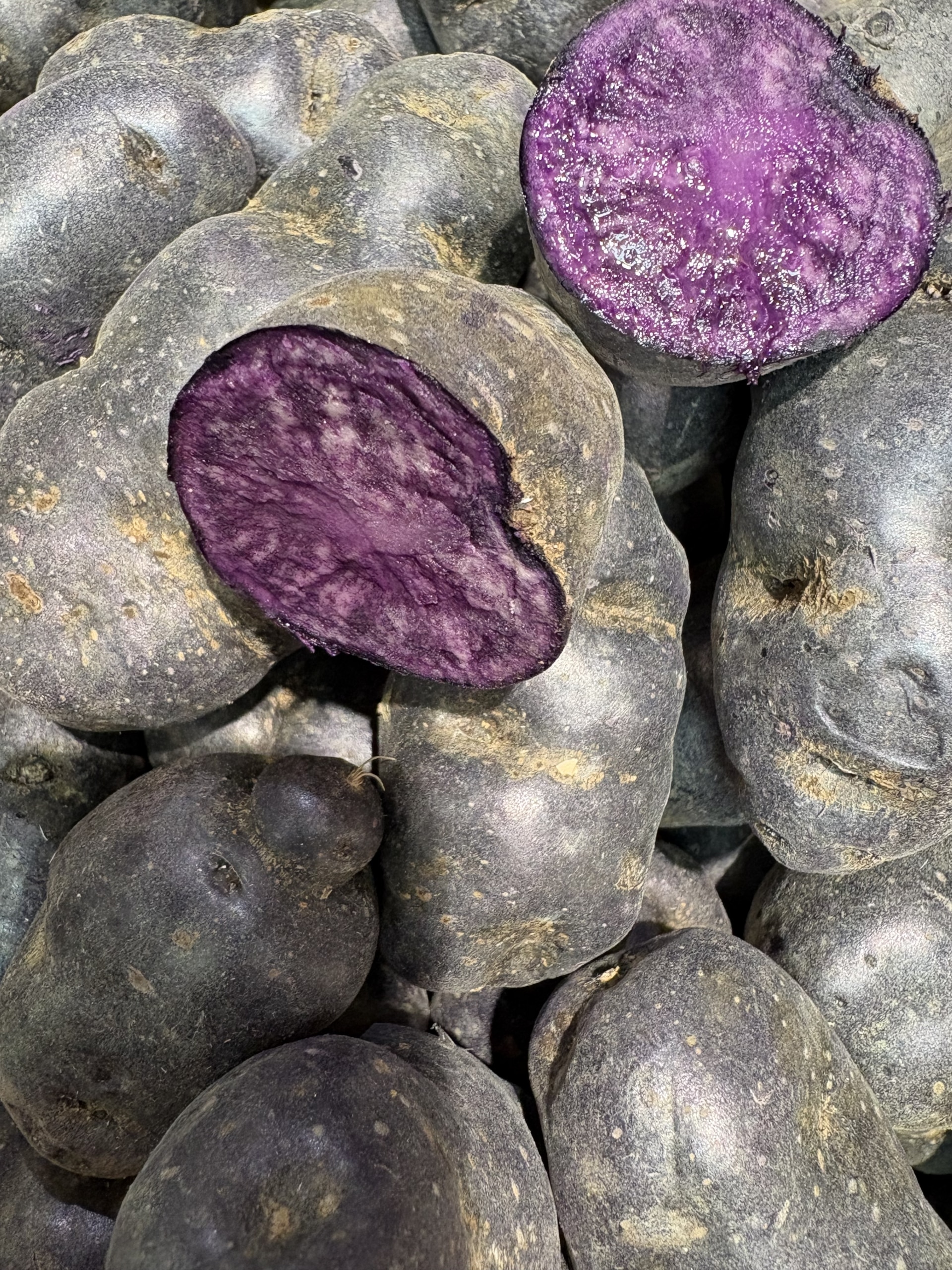 POMME DE TERRE VITELOTTE