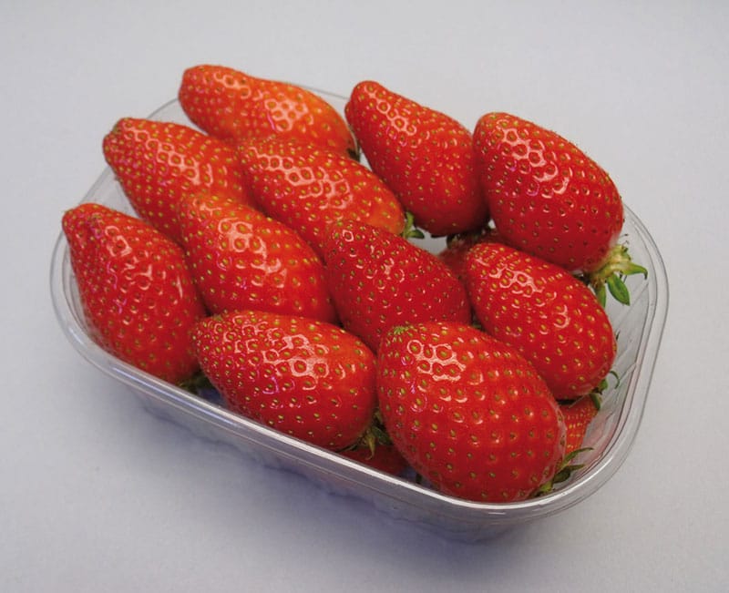 FRAISE CIFLORETTE 250 GRS